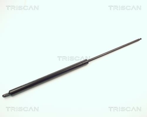 Gasfjäder bak från TRISCAN