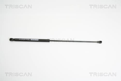 Gasfjäder bak från TRISCAN