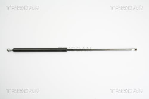 Gasfjäder bak från TRISCAN