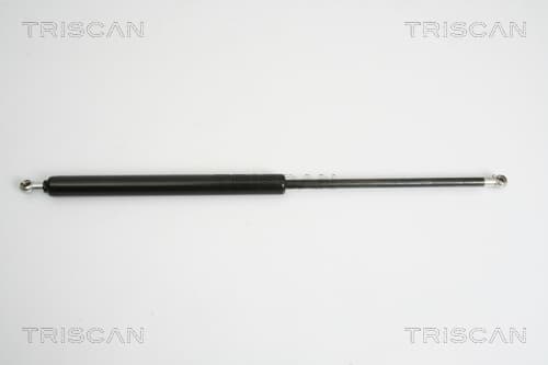 Gasfjäder bak från TRISCAN