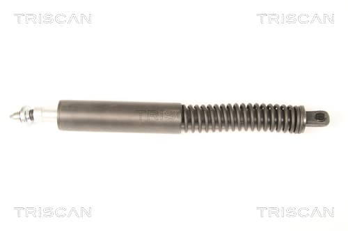 Gasfjäder bak från TRISCAN