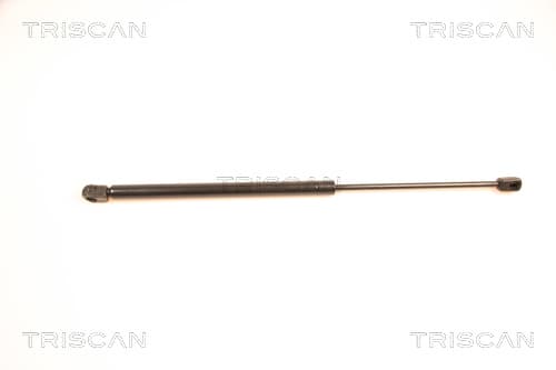 Gasfjäder bak från TRISCAN