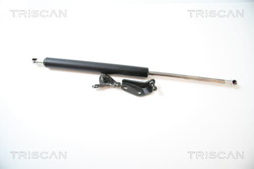 Gasfjäder bak från TRISCAN