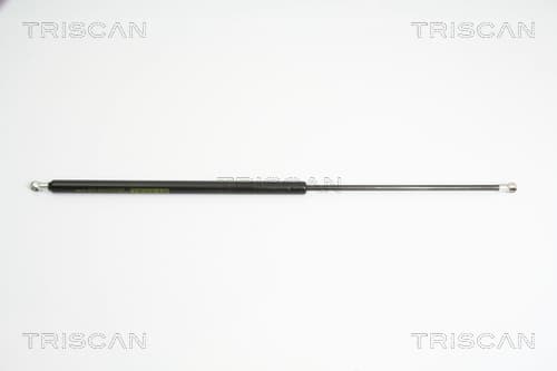 Gasfjäder bak från TRISCAN