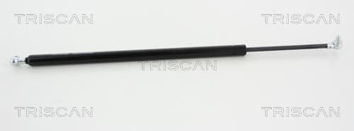 Gasfjäder bakrude från TRISCAN