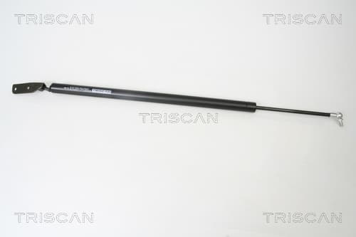 Gasfjäder bak från TRISCAN