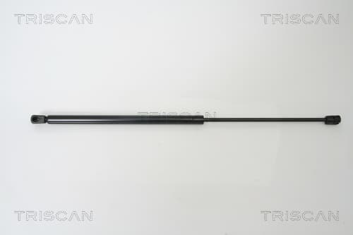 Gasfjäder bak från TRISCAN