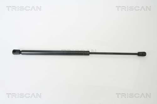 Gasfjäder bak från TRISCAN