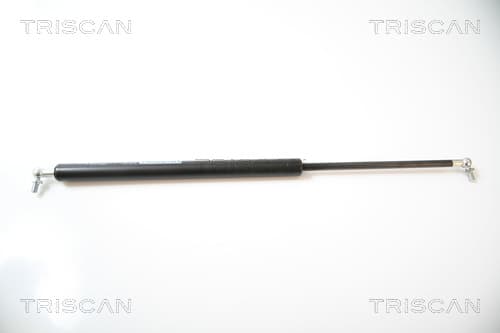 Gasfjäder bak från TRISCAN