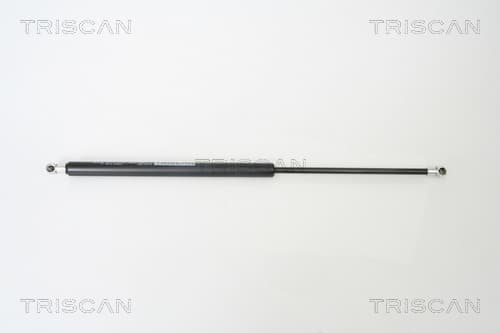 Gasfjäder bak från TRISCAN
