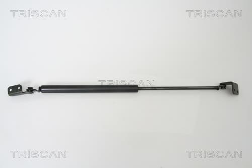 Gasfjäder bak från TRISCAN