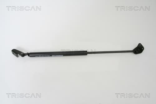 Gasfjäder bak från TRISCAN