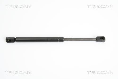 Gasfjäder bak från TRISCAN