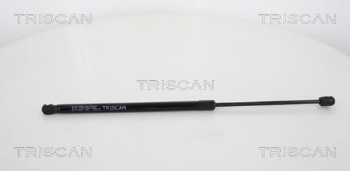 Gasfjäder bak från TRISCAN