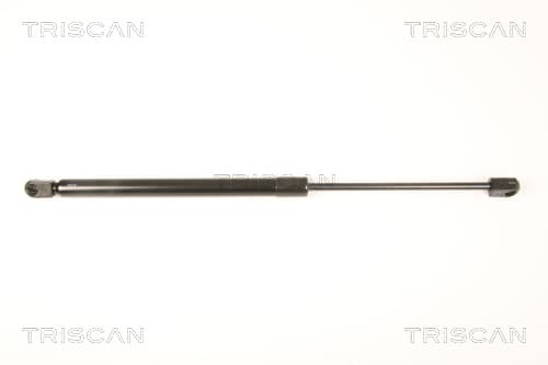 Gasfjäder bak från TRISCAN