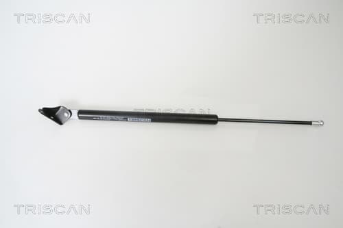 Gasfjäder bak från TRISCAN