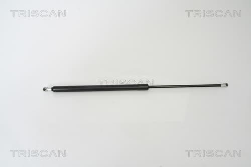 Gasfjäder bak från TRISCAN