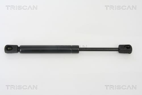 Gasfjäder bak från TRISCAN