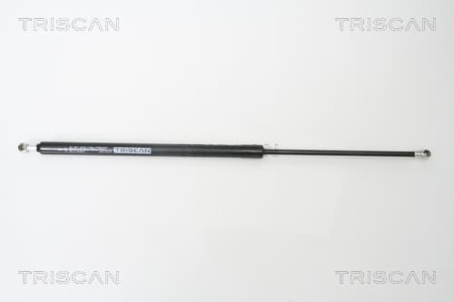 Gasfjäder bak från TRISCAN
