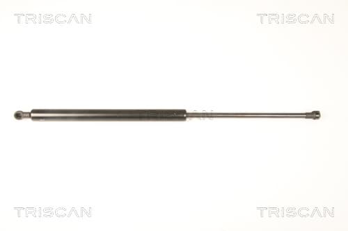 Gasfjäder bak från TRISCAN