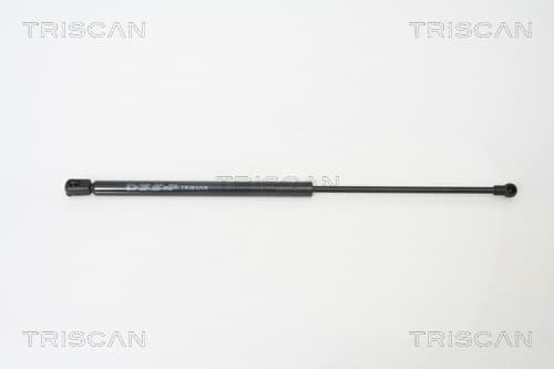 Gasfjäder bak från TRISCAN