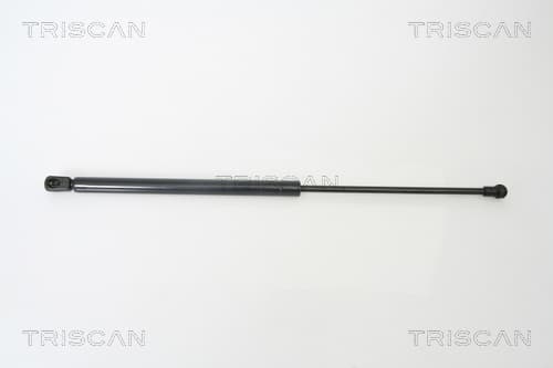 Gasfjäder bak från TRISCAN