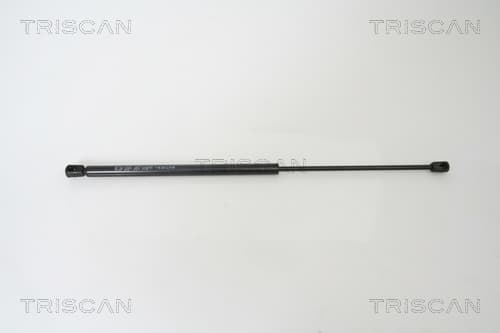 Gasfjäder bak från TRISCAN