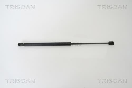 Gasfjäder bak från TRISCAN