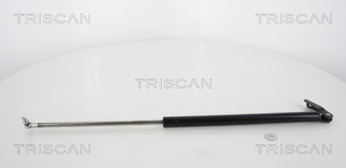 Gasfjäder bak från TRISCAN