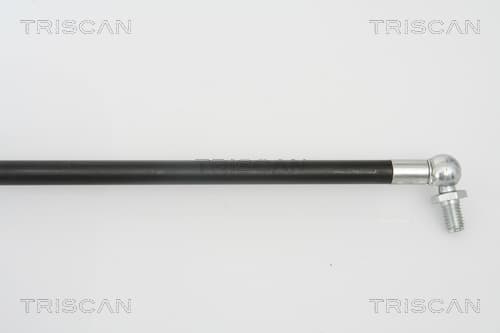 Gasfjäder bagageutrymme — Höger från TRISCAN - bild 3