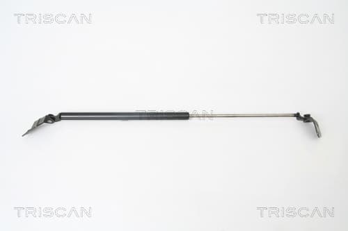 Gasfjäder bak från TRISCAN