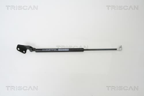 Gasfjäder bak från TRISCAN