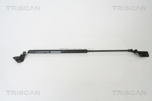 Gasfjäder bak — Höger från TRISCAN