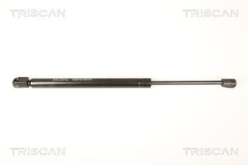 Gasfjäder bakrude från TRISCAN