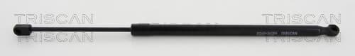 Gasfjäder bak från TRISCAN