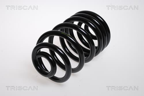 Spiralfjäder bak från TRISCAN