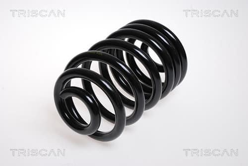 Spiralfjäder bak från TRISCAN