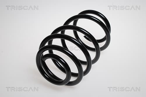 Spiralfjäder bak — Bakaxel från TRISCAN