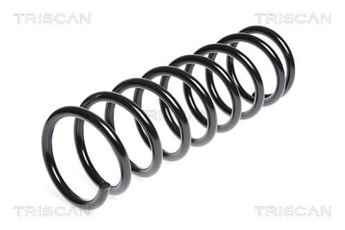 Spiralfjäder bak från TRISCAN