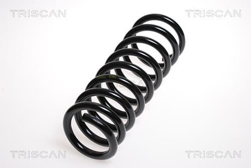 Spiralfjäder bak från TRISCAN