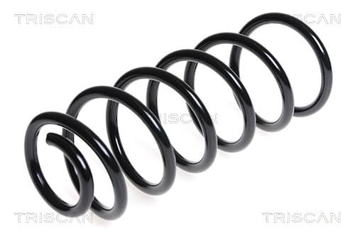 Spiralfjäder bak från TRISCAN