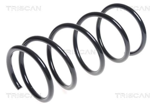 Spiralfjäder fram från TRISCAN