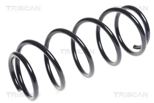 Spiralfjäder bak från TRISCAN