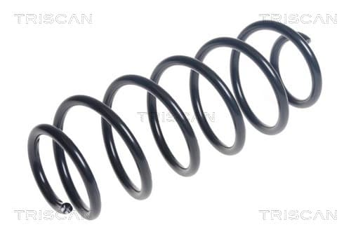 Spiralfjäder bak från TRISCAN