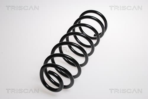 Spiralfjäder bak från TRISCAN
