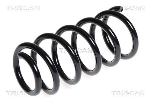 Spiralfjäder bak från TRISCAN