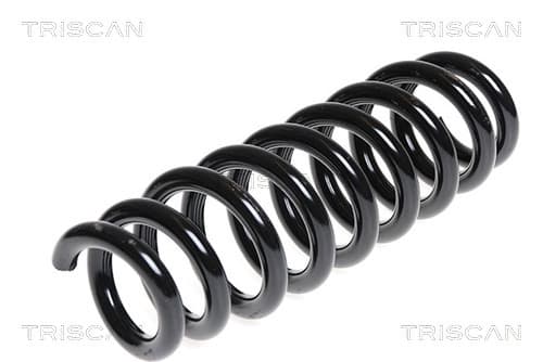 Spiralfjäder bak från TRISCAN