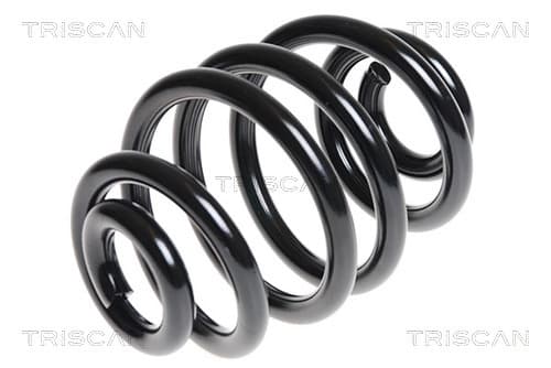 Spiralfjäder bak från TRISCAN