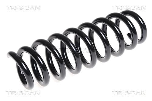 Spiralfjäder bak från TRISCAN