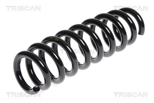 Spiralfjäder bak från TRISCAN